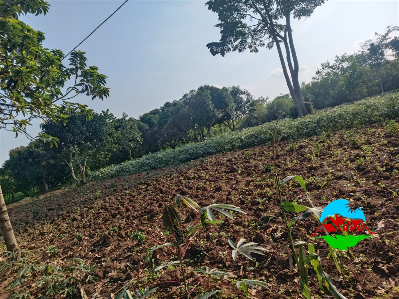 Residential Land for sale in Kiyunga Mukono