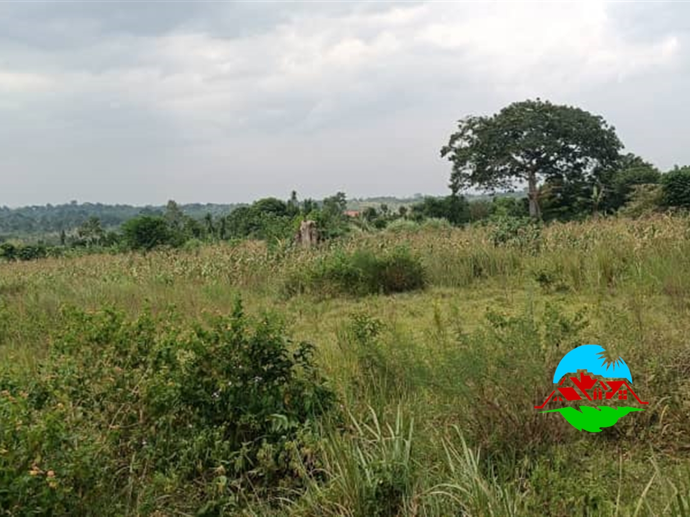 Residential Land for sale in Kiyunga Mukono