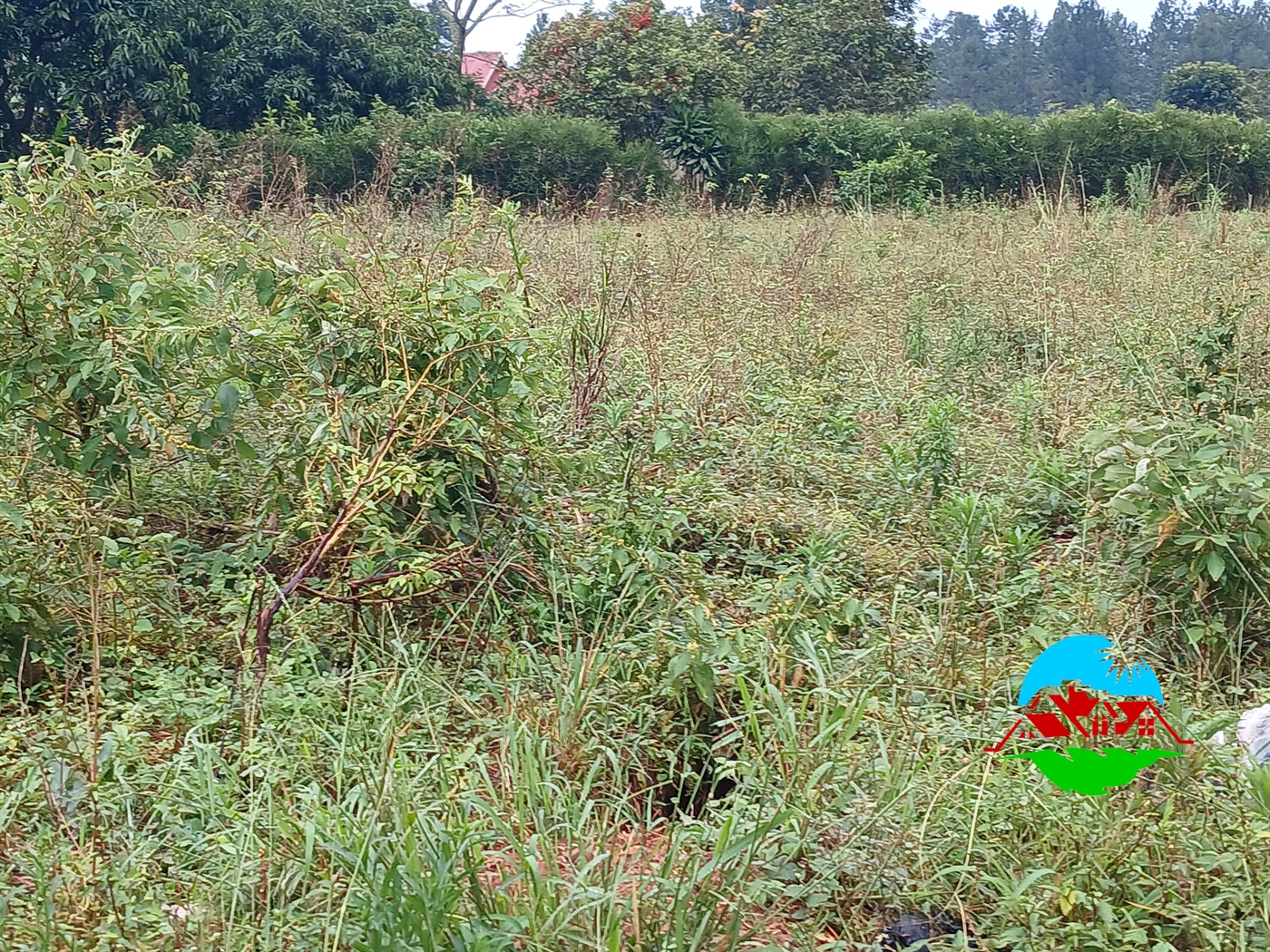 Residential Land for sale in Manyangwa Wakiso