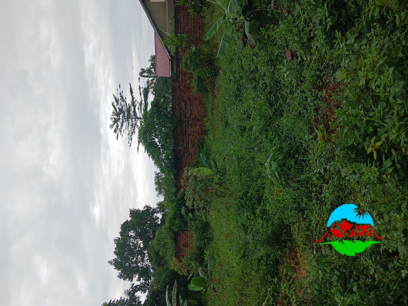 Residential Land for sale in Nakassajja Mukono