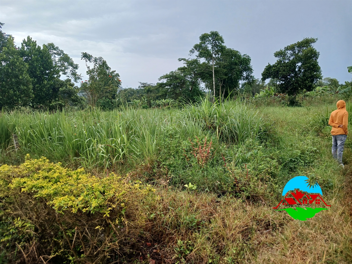 Residential Land for sale in Nakassajja Mukono