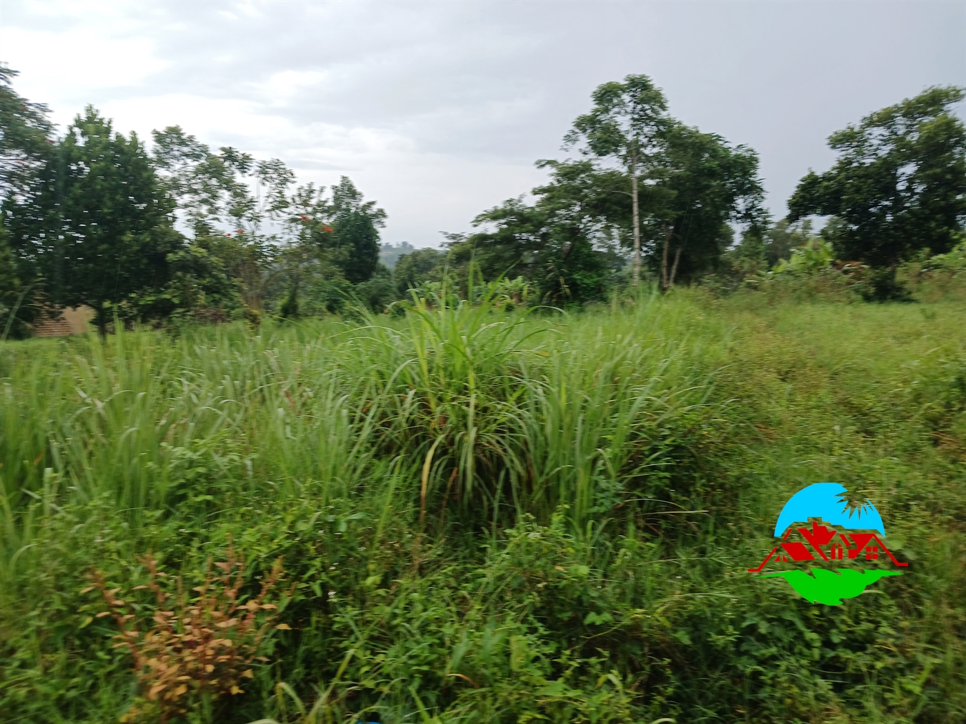 Residential Land for sale in Nakassajja Mukono