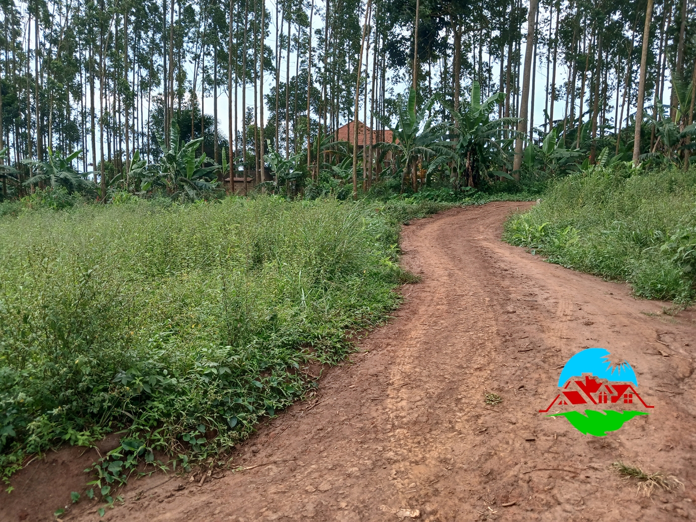 Residential Land for sale in Kiryagonjja Wakiso