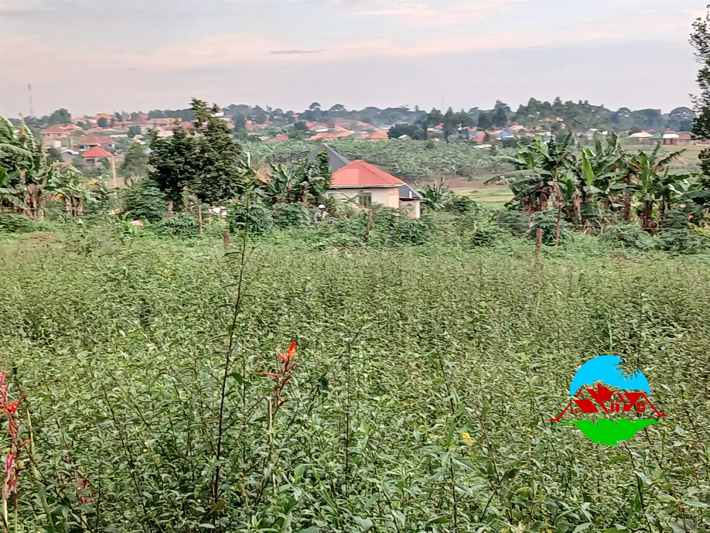 Residential Land for sale in Kiryagonjja Wakiso