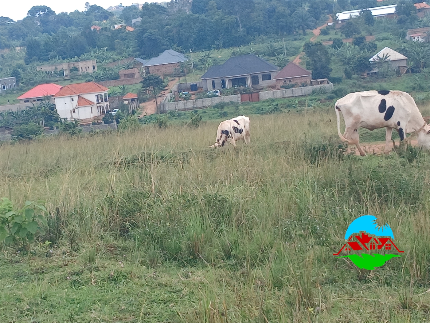 Residential Land for sale in Nakweelo Wakiso