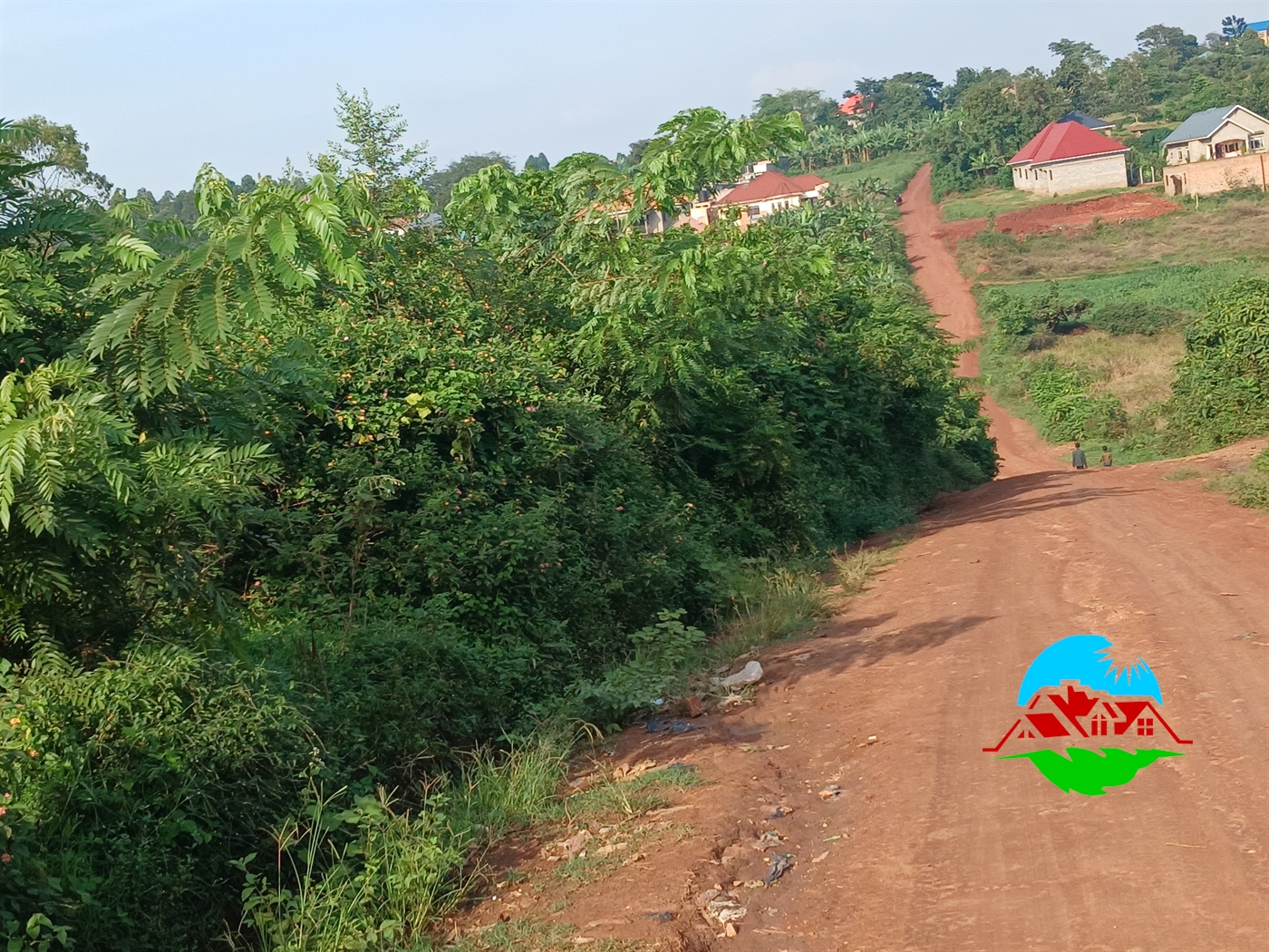 Residential Land for sale in Busukuma Wakiso