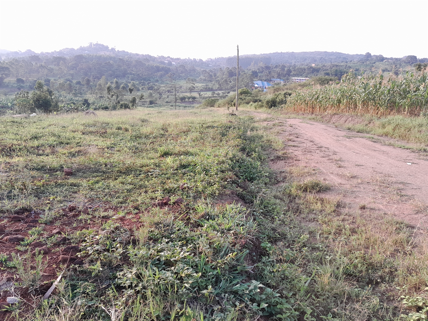 Residential Land for sale in Kiwenda Wakiso