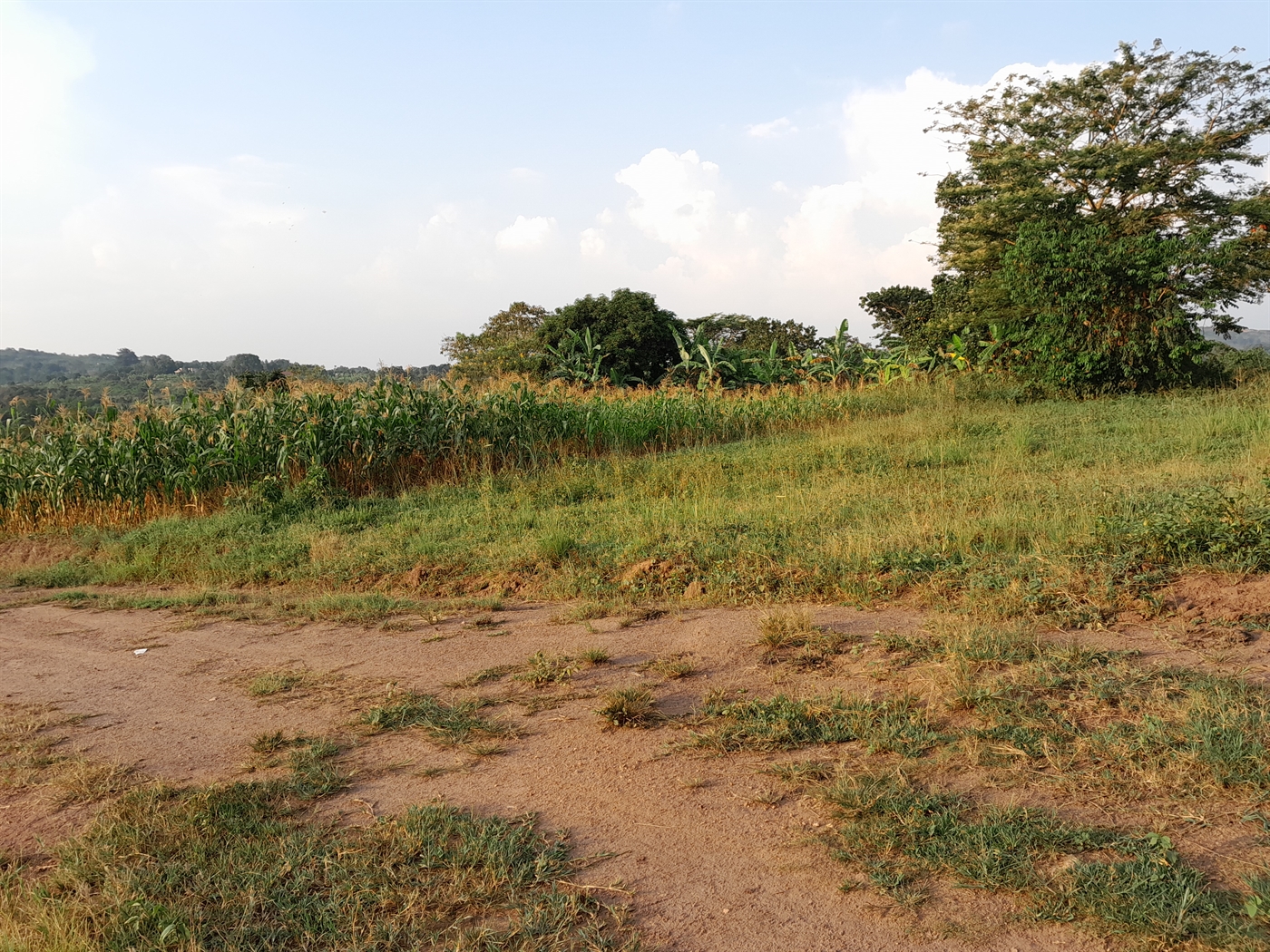 Residential Land for sale in Kiwenda Wakiso