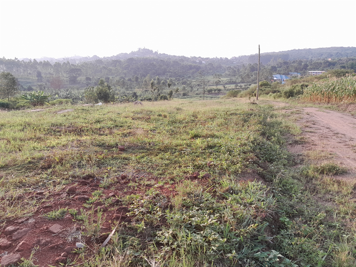 Residential Land for sale in Kiwenda Wakiso