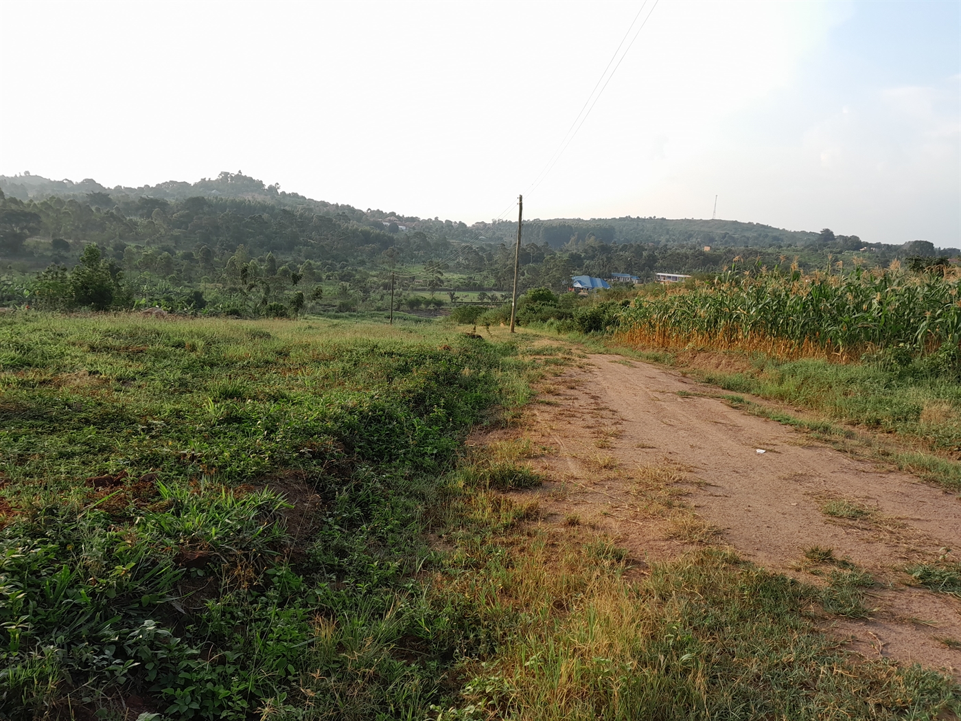 Residential Land for sale in Kiwenda Wakiso