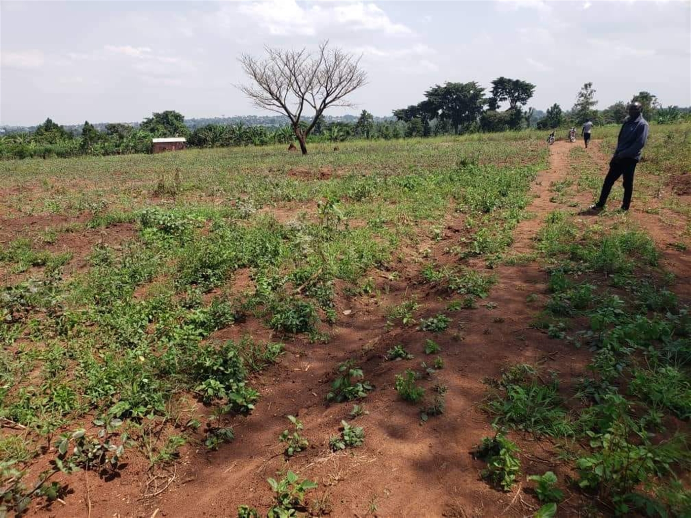 Residential Land for sale in Vvumba Luweero