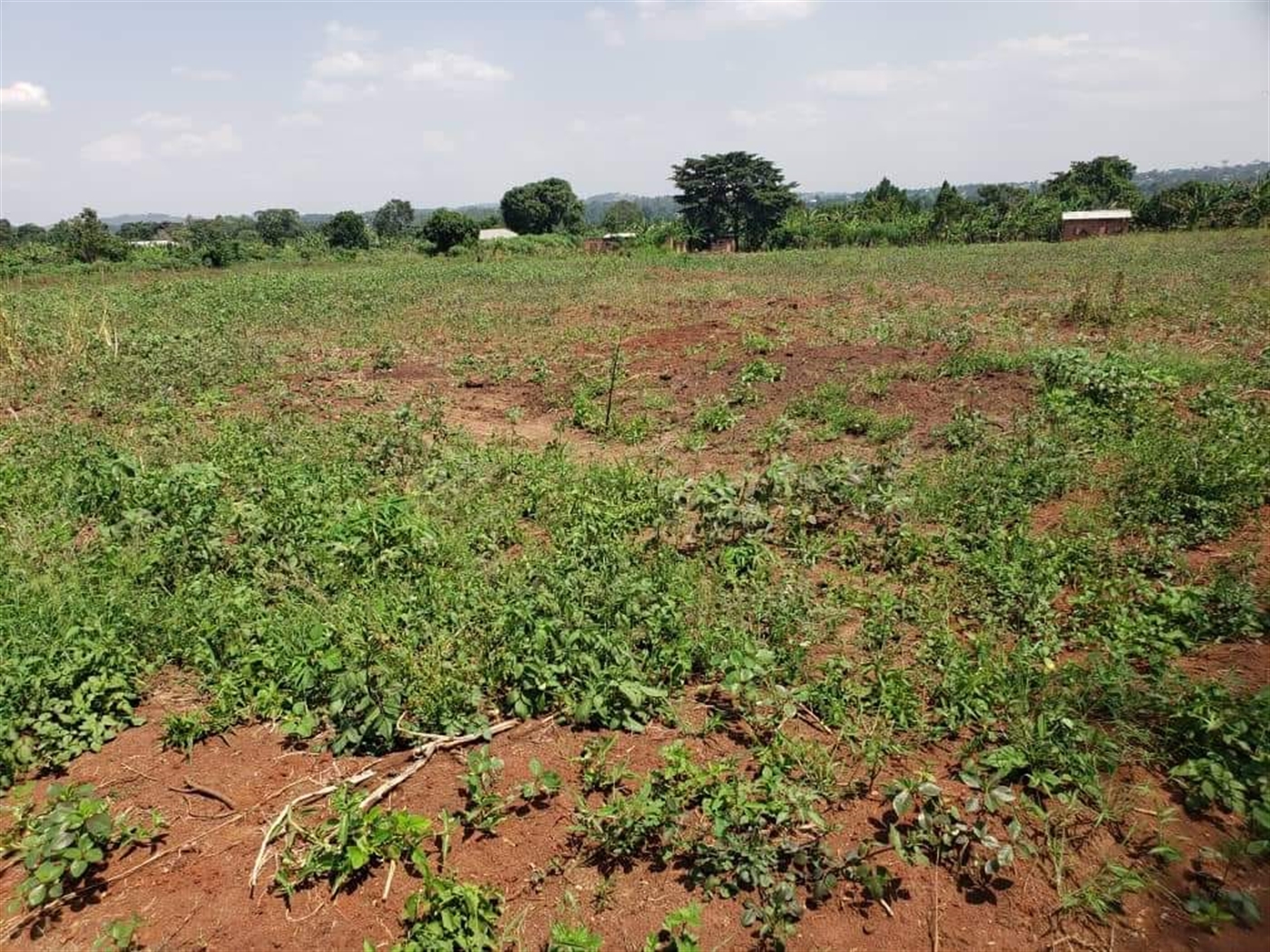 Residential Land for sale in Vvumba Luweero