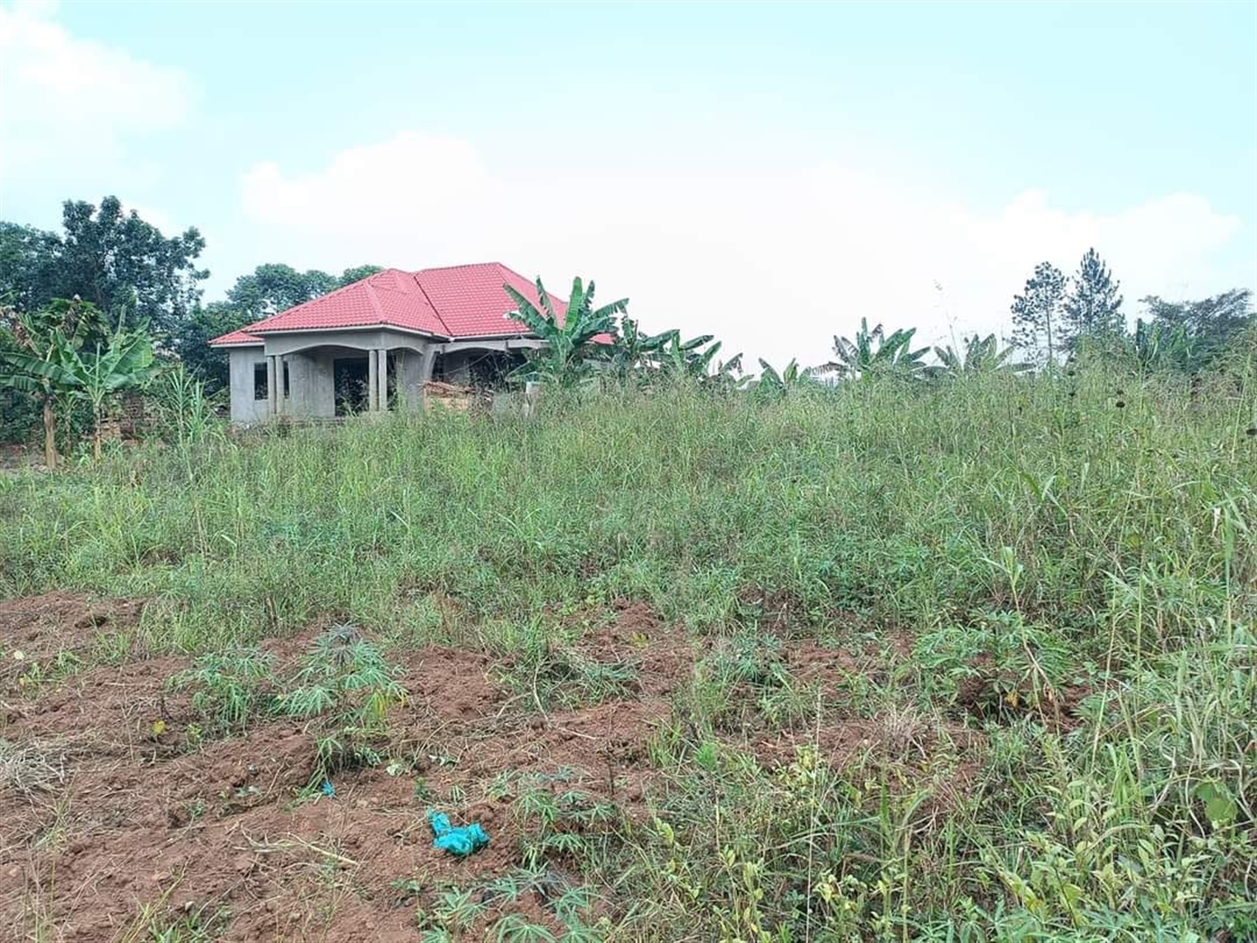 Residential Land for sale in Buddugala Mukono