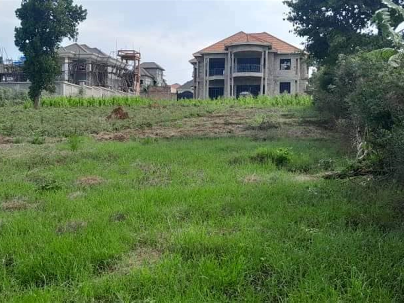 Residential Land for sale in Kiwango Mukono