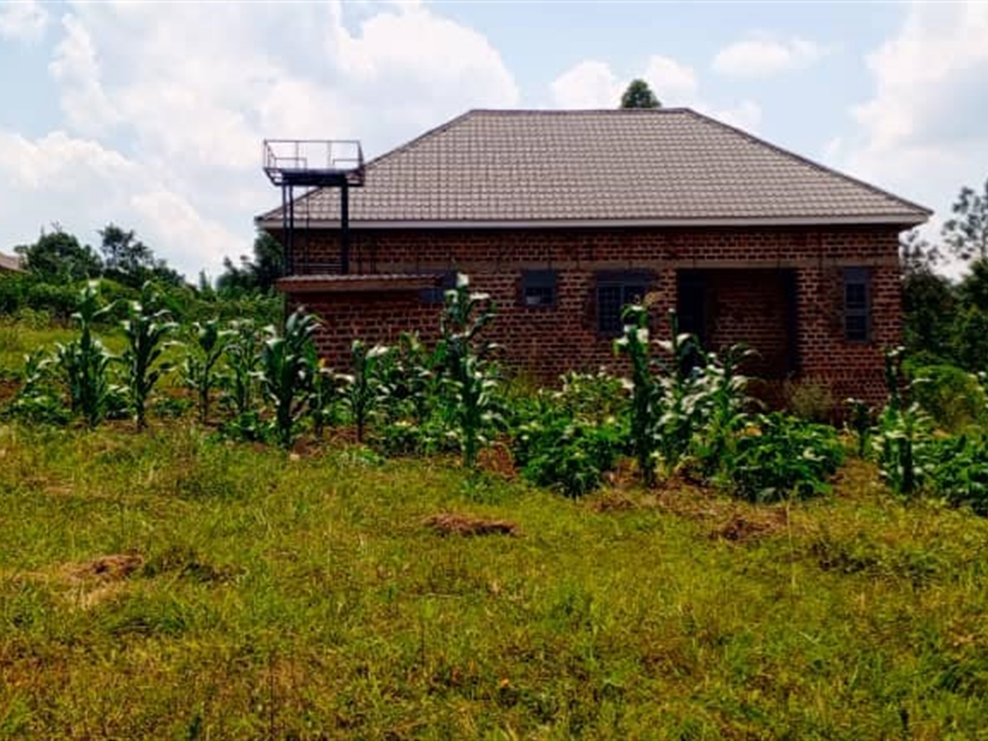 Residential Land for sale in Matugga Wakiso