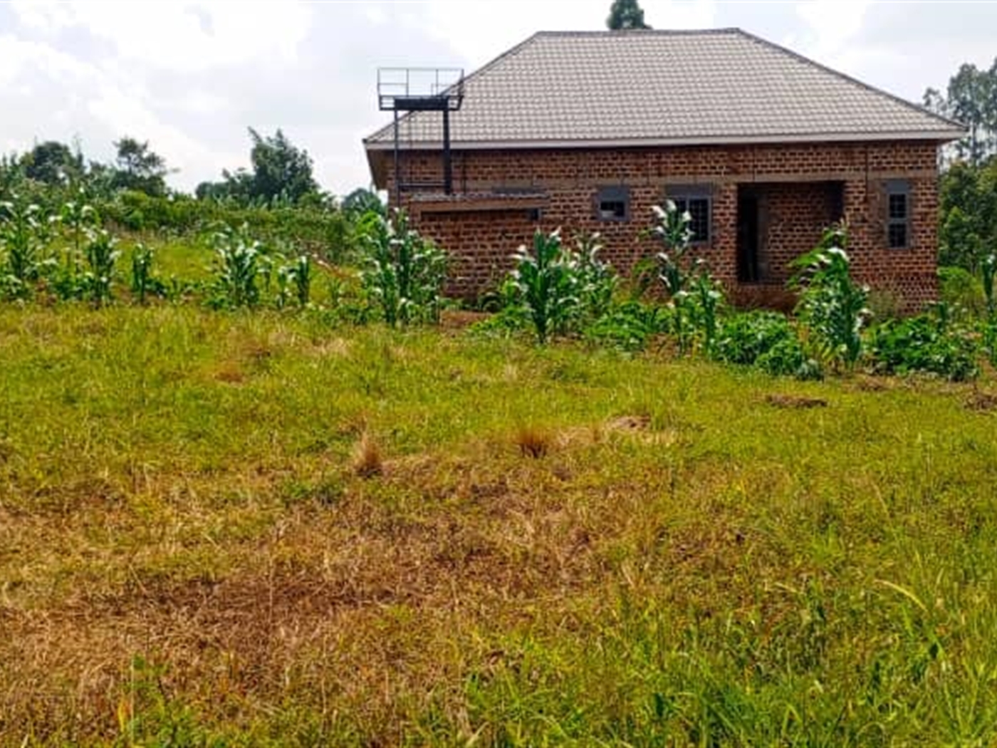 Residential Land for sale in Matugga Wakiso