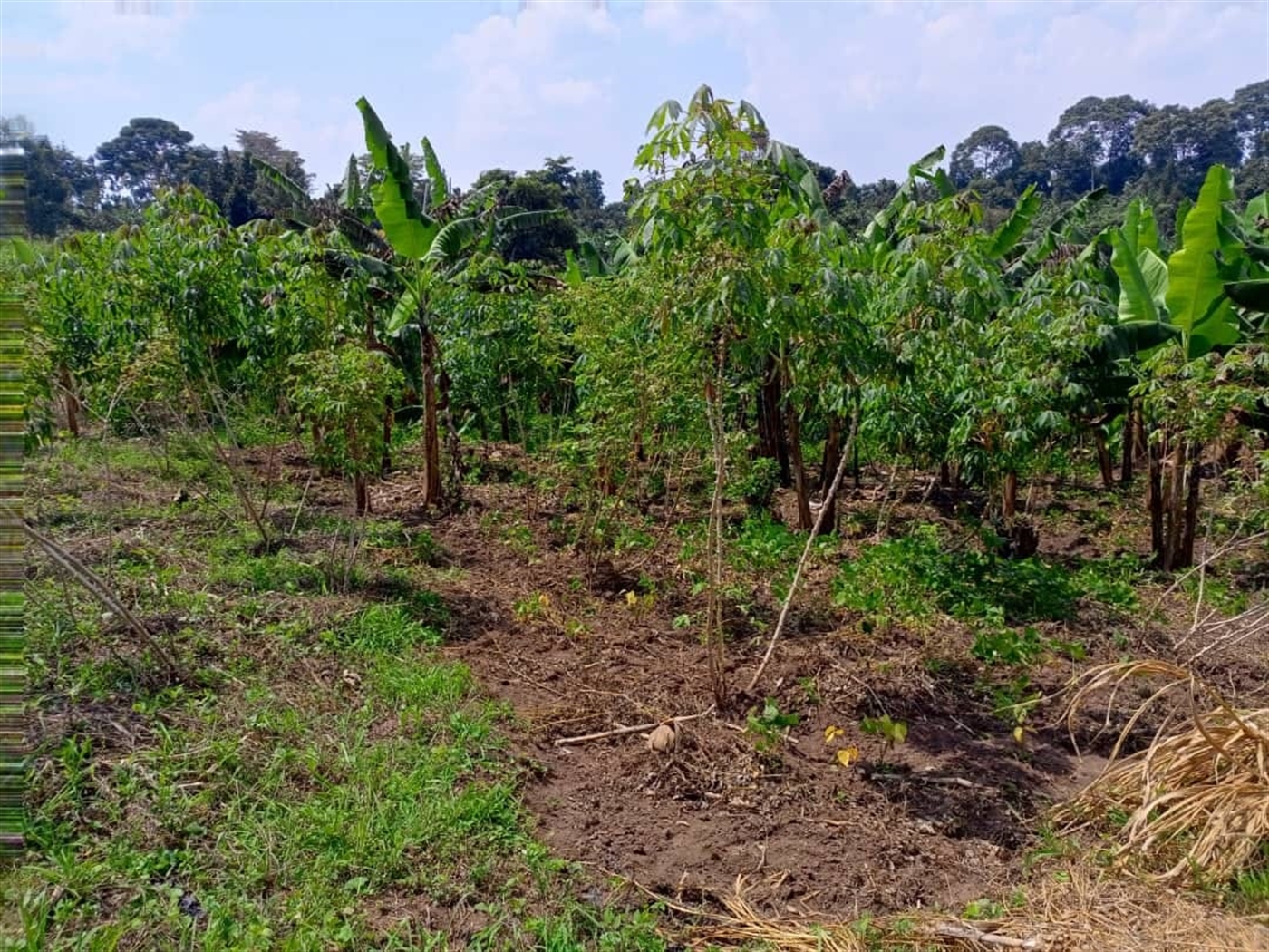 Residential Land for sale in Kanyanda Wakiso