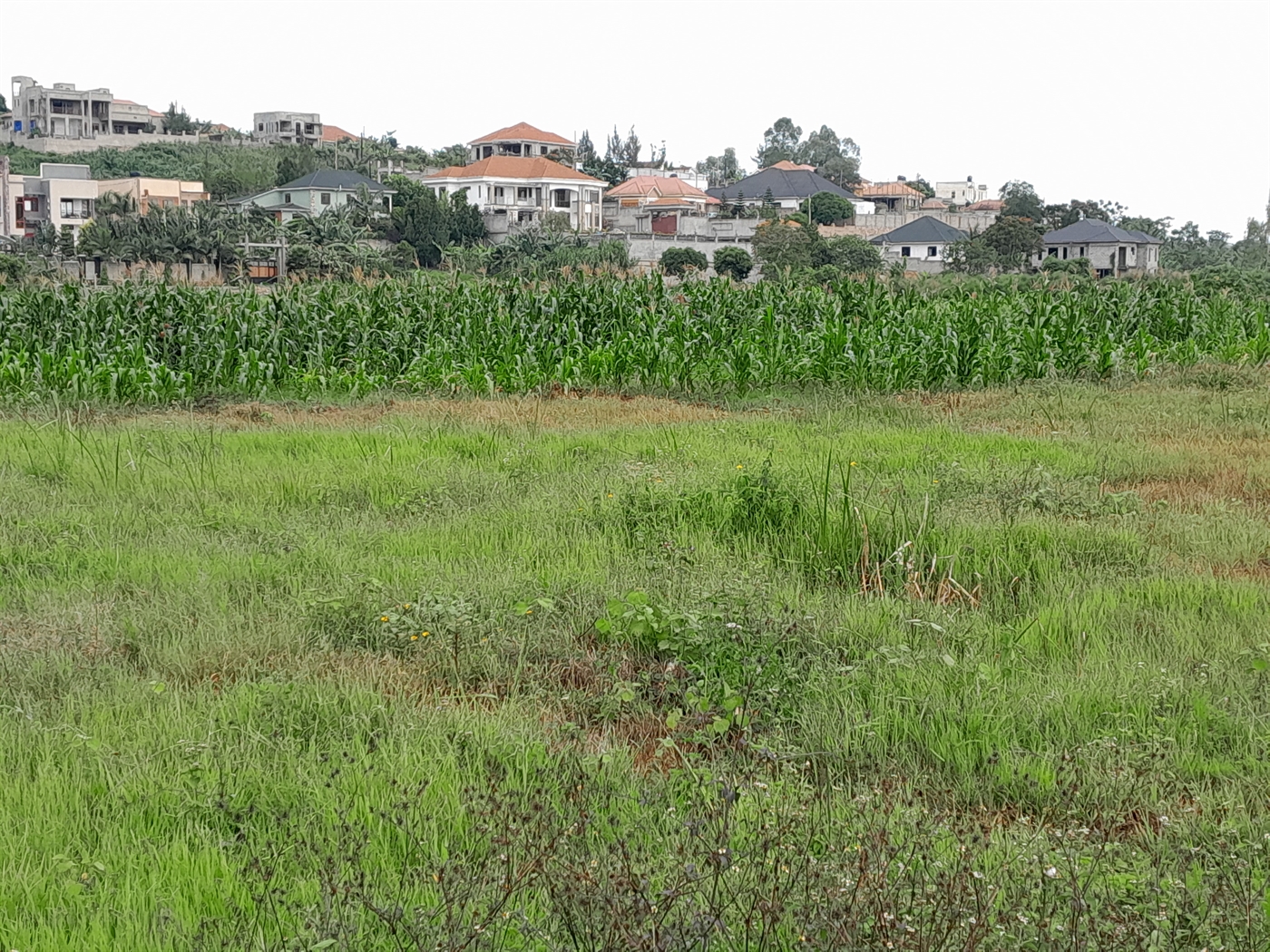 Residential Land for sale in Kitukutwe Wakiso