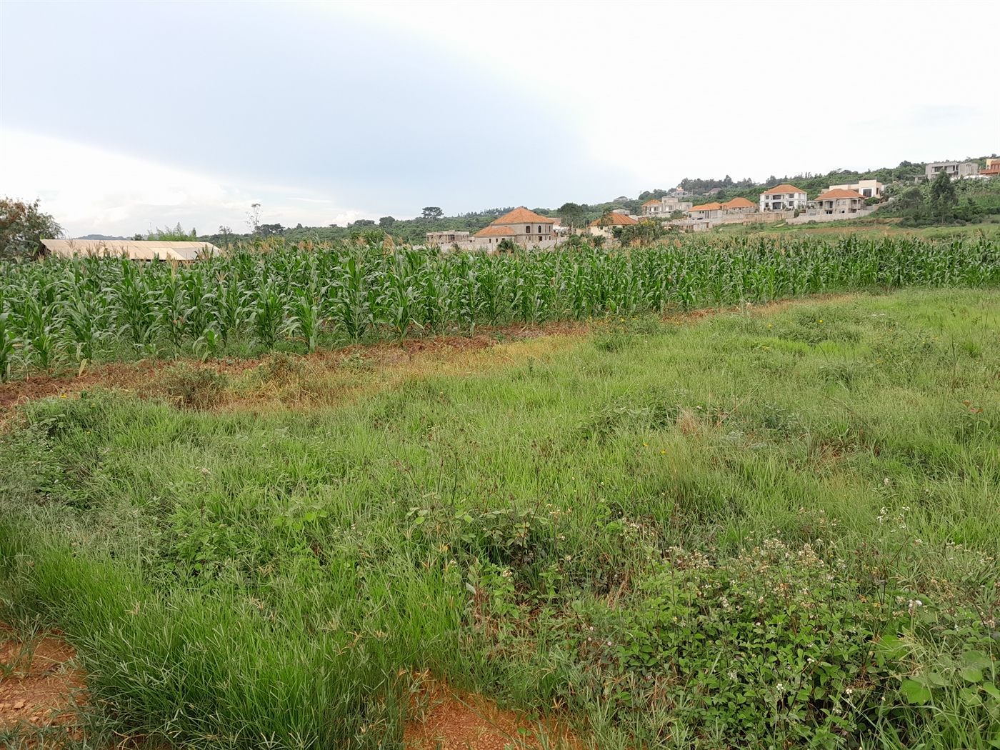 Residential Land for sale in Kitukutwe Wakiso