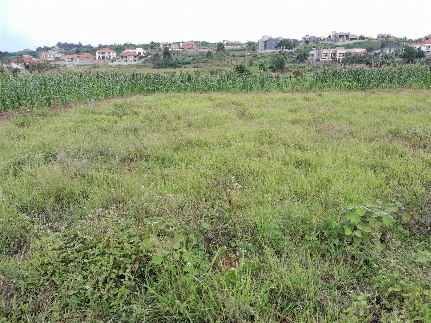 Residential Land for sale in Kitukutwe Wakiso