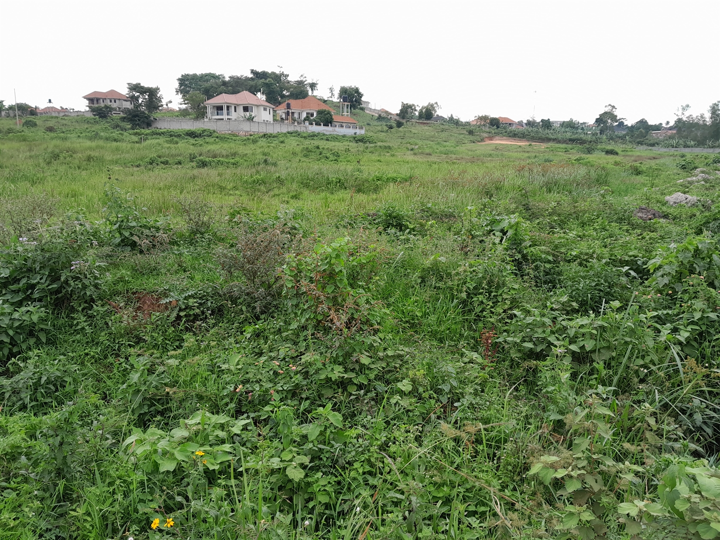 Residential Land for sale in Kitukutwe Wakiso