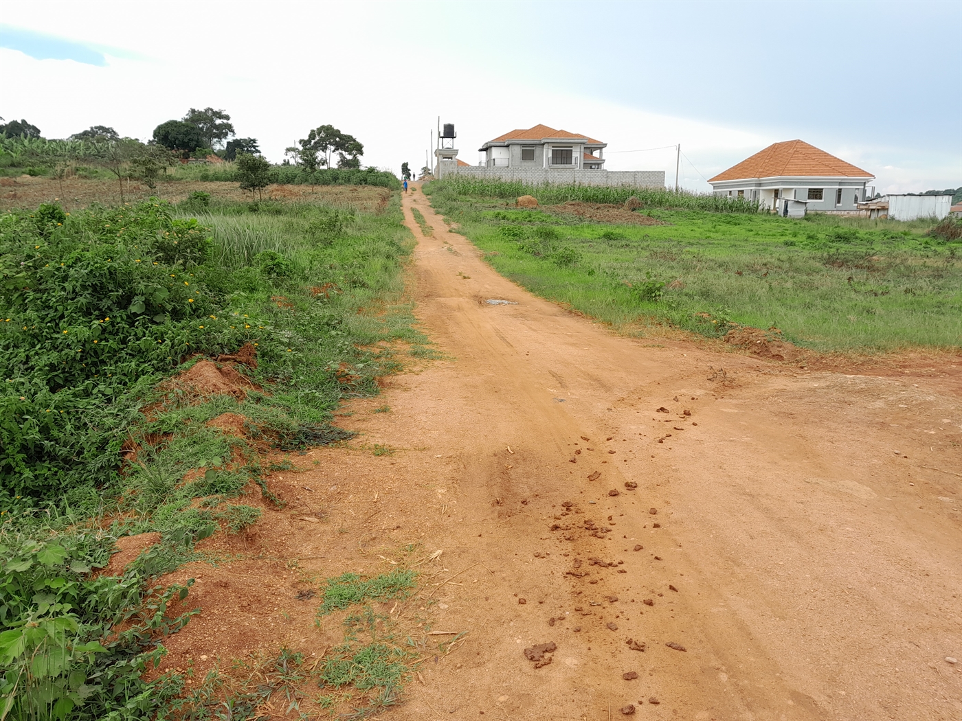 Residential Land for sale in Kitukutwe Wakiso