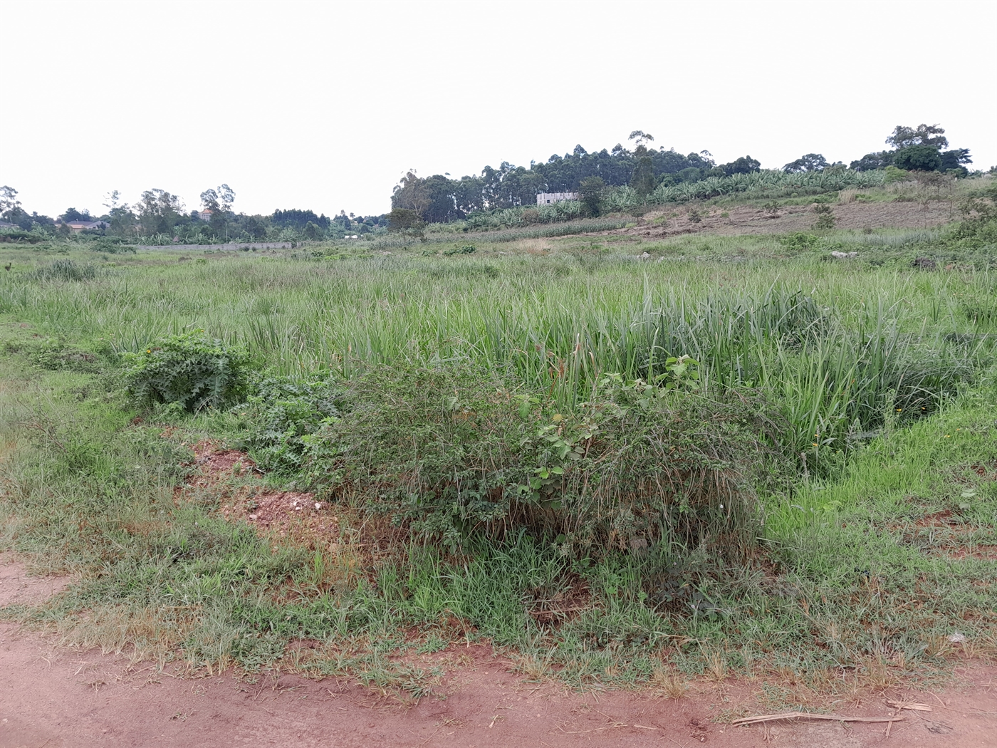 Residential Land for sale in Kitukutwe Wakiso