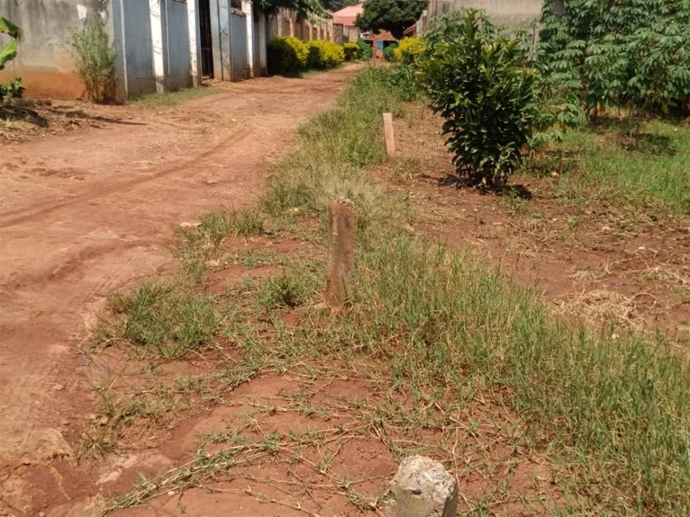 Residential Land for sale in Bweya Wakiso