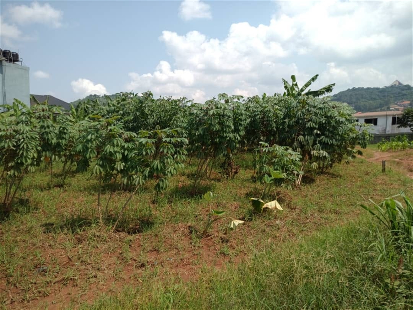 Residential Land for sale in Bweya Wakiso