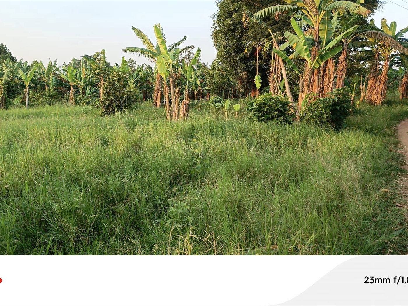 Residential Land for sale in Gayaza Wakiso