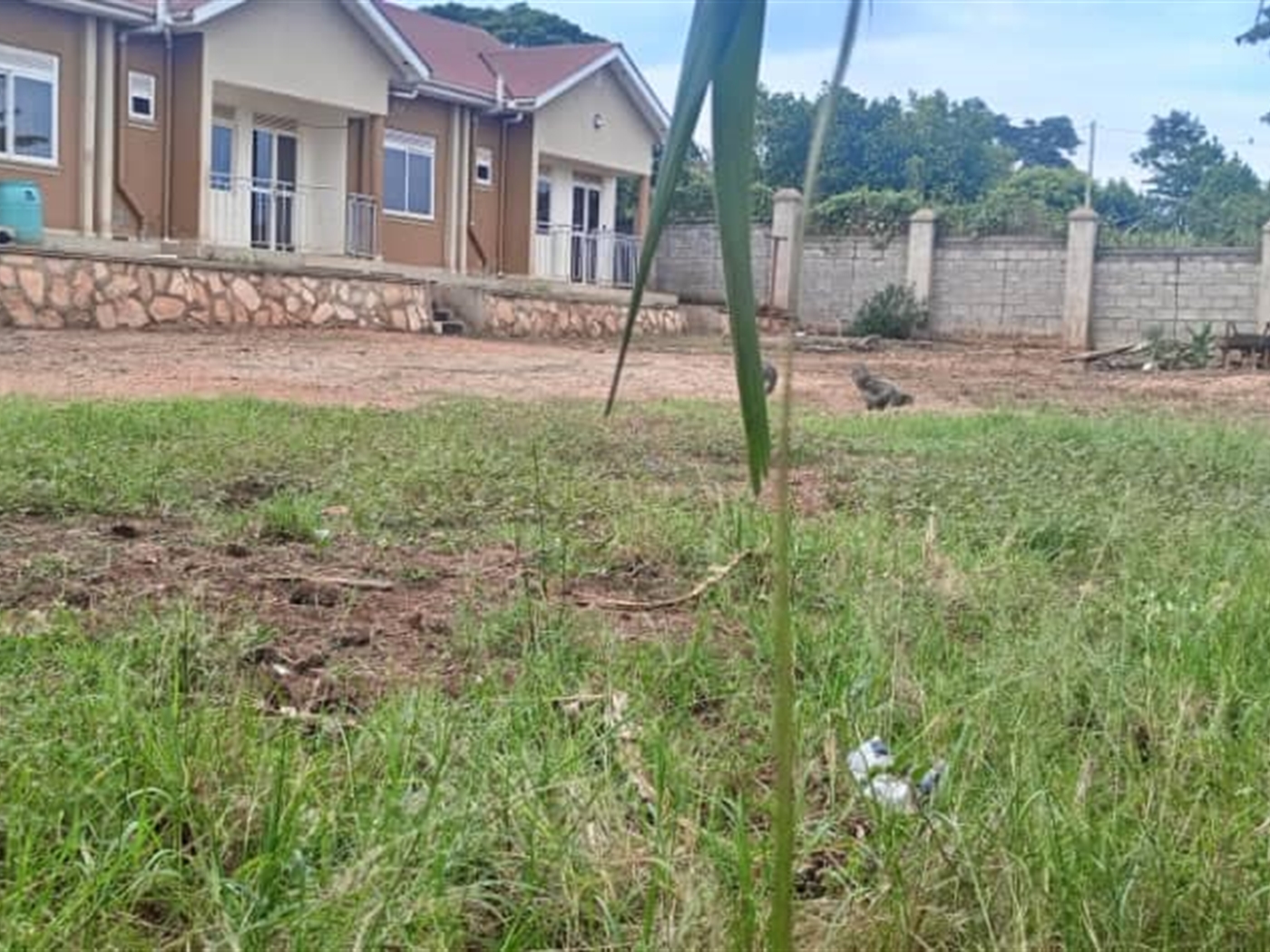 Rental units for sale in Gayaza Wakiso