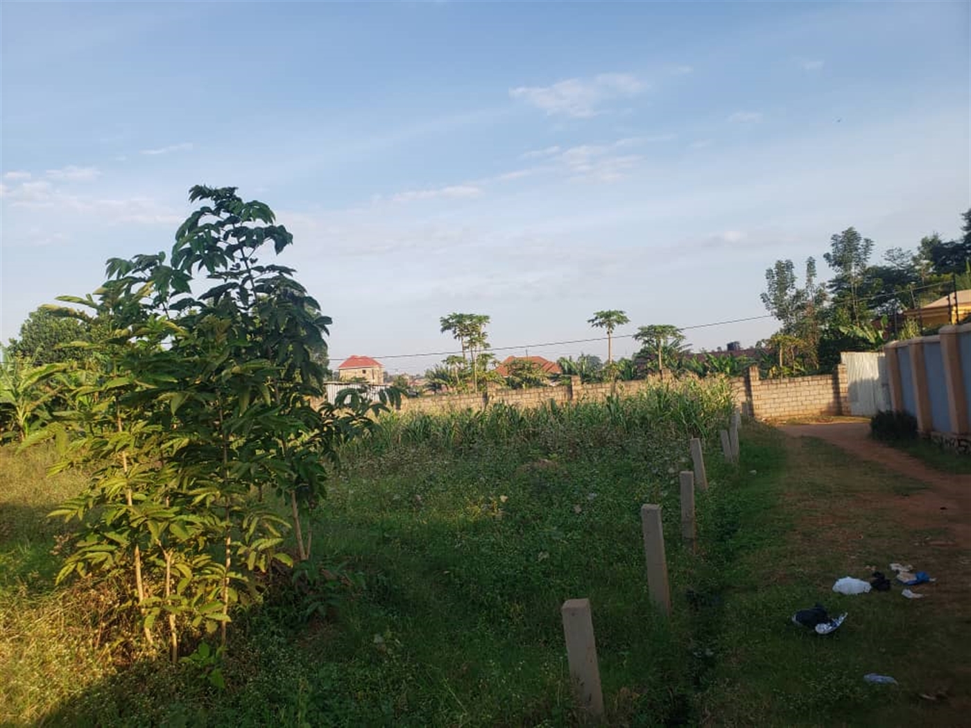 Residential Land for sale in Kira Wakiso