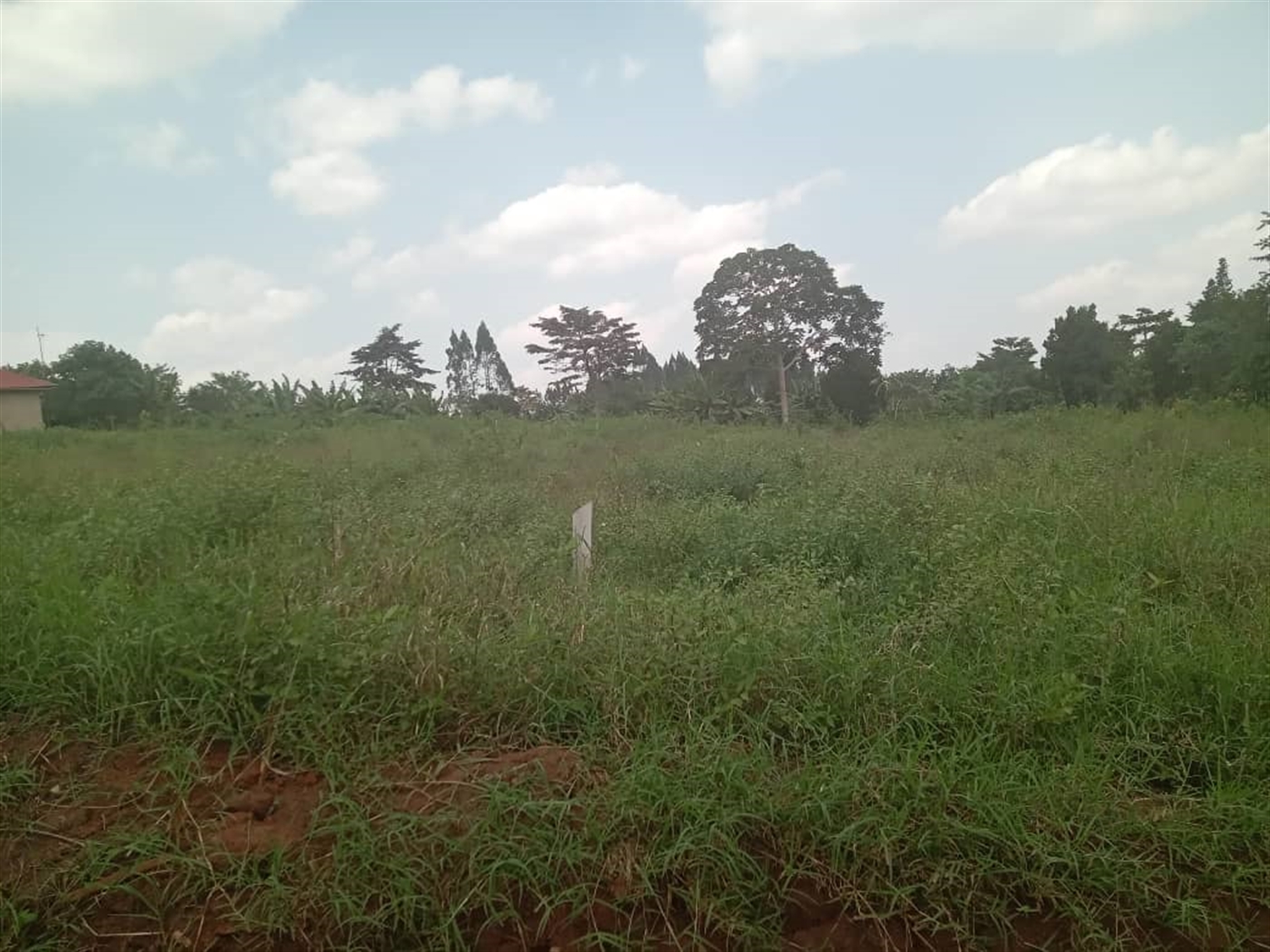 Residential Land for sale in Kasai Mukono