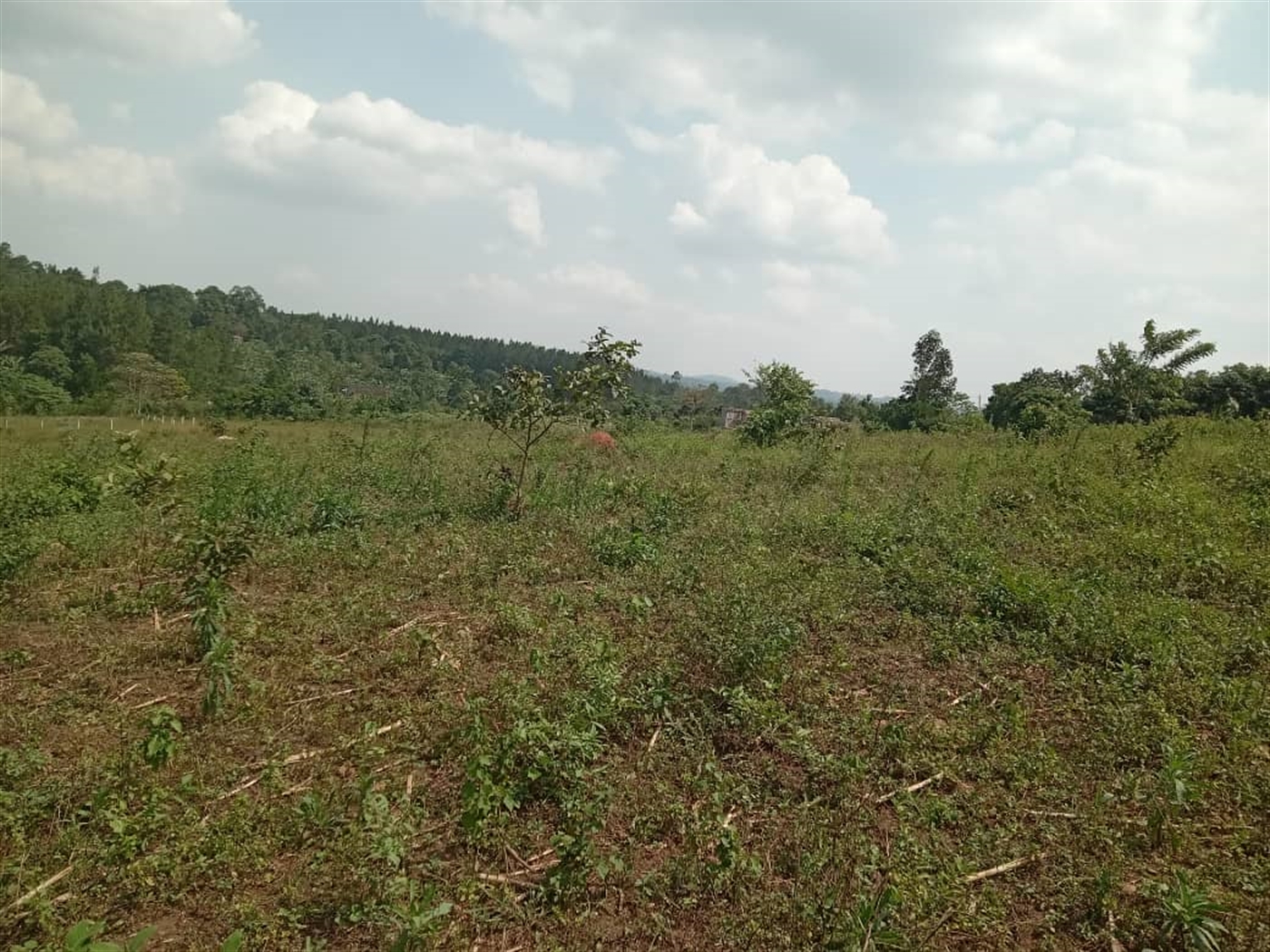 Residential Land for sale in Kasai Mukono