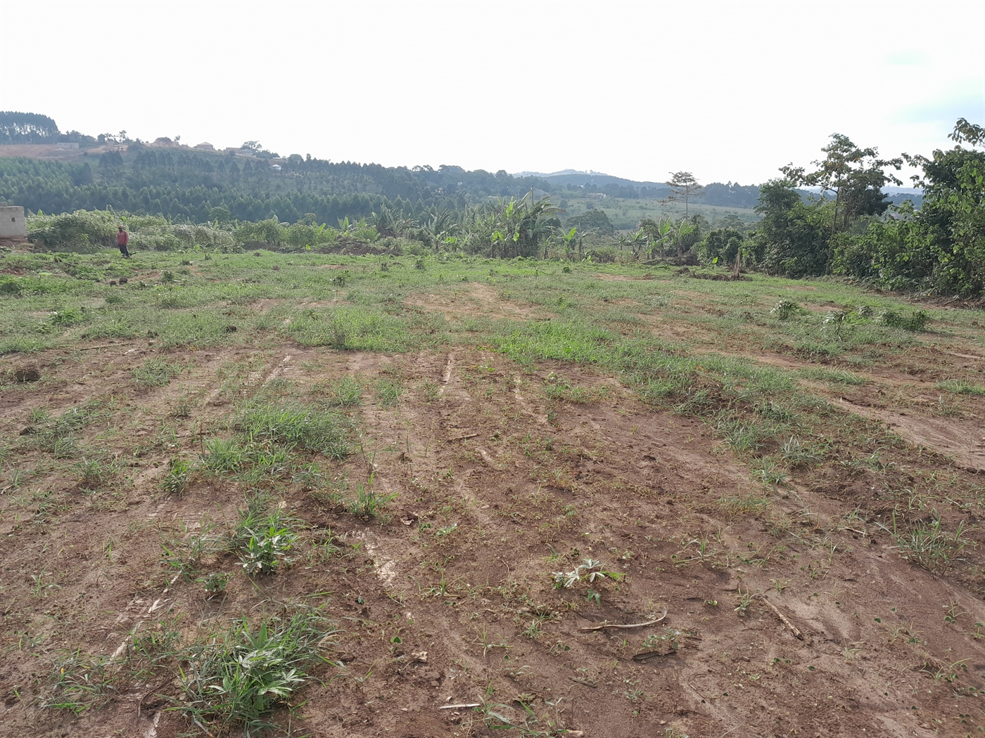 Residential Land for sale in Nakagere Mukono