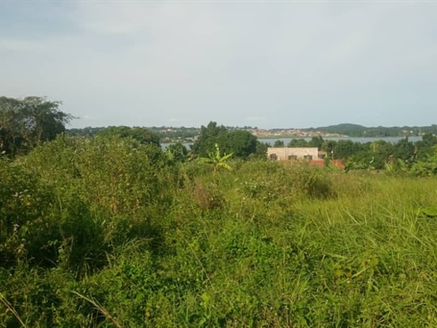 Residential Land for sale in Garuga Wakiso