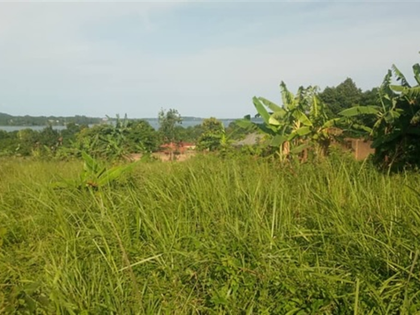 Residential Land for sale in Garuga Wakiso