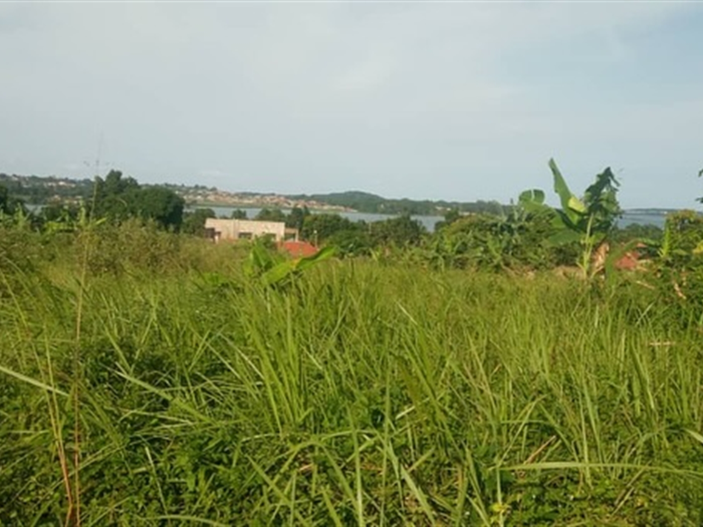 Residential Land for sale in Garuga Wakiso