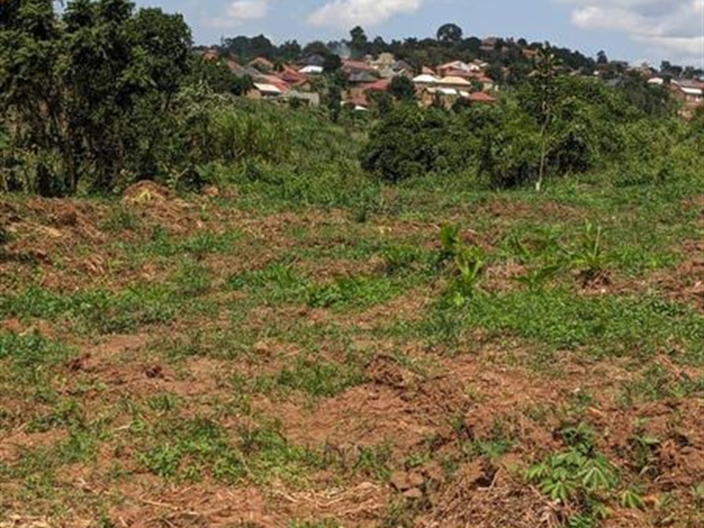 Commercial Land for sale in Namusela Wakiso