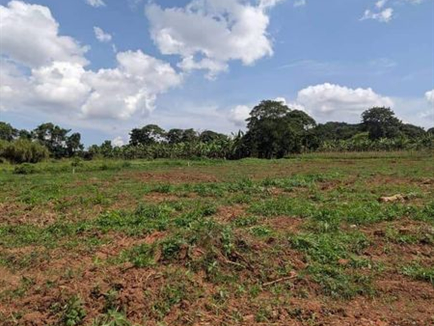 Commercial Land for sale in Namusela Wakiso