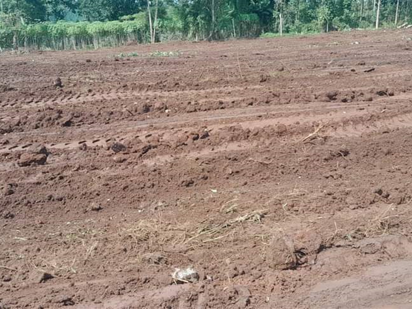 Recreational Land for sale in Bukeelele Wakiso