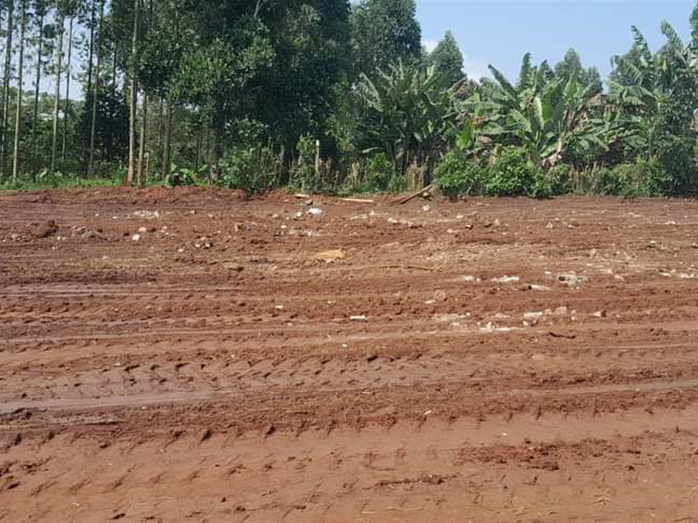 Recreational Land for sale in Bukeelele Wakiso