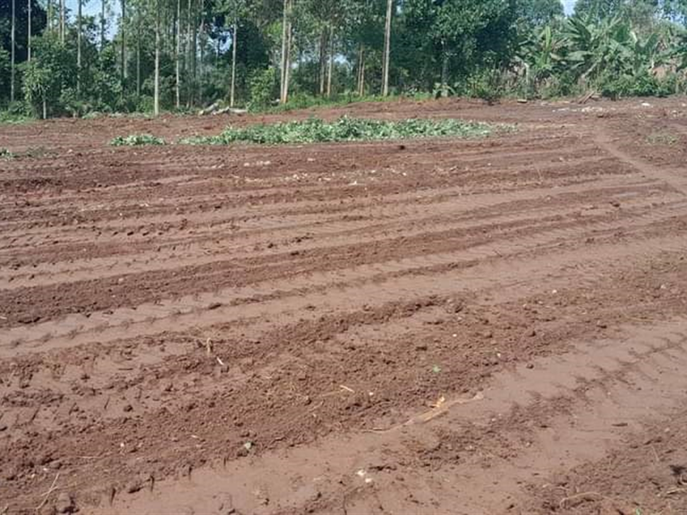 Recreational Land for sale in Bukeelele Wakiso