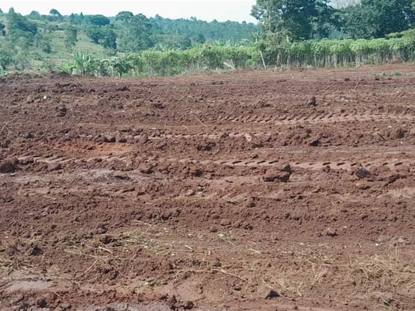 Recreational Land for sale in Bukeelele Wakiso