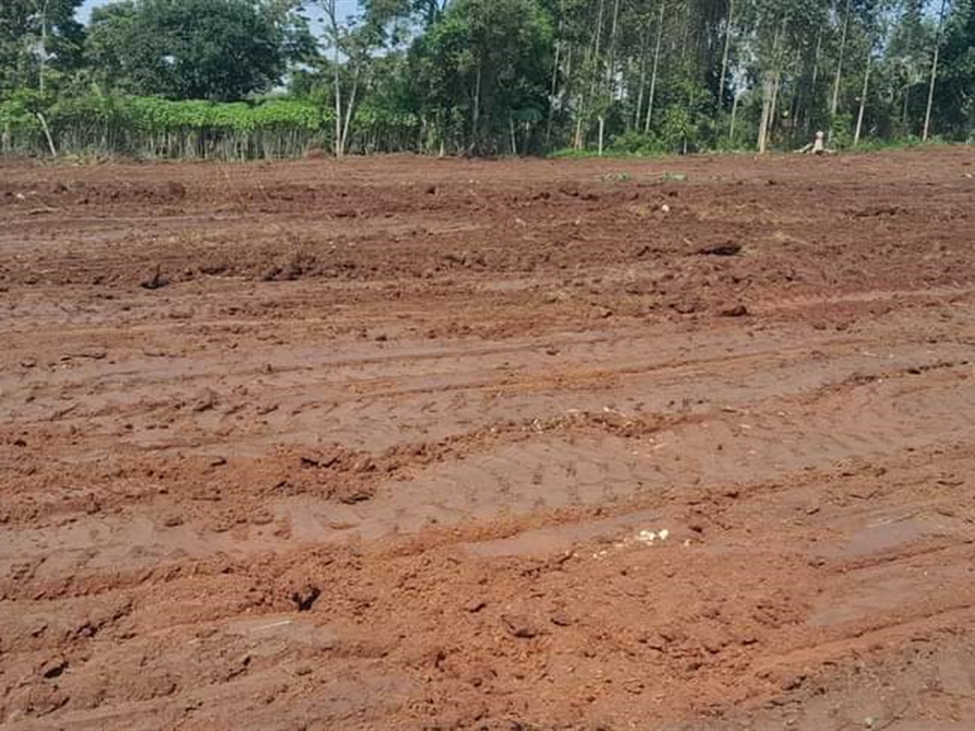 Recreational Land for sale in Bukeelele Wakiso