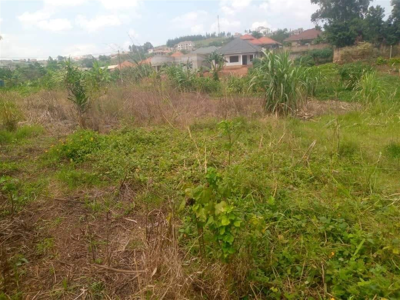 Multipurpose Land for sale in Nsansa Wakiso