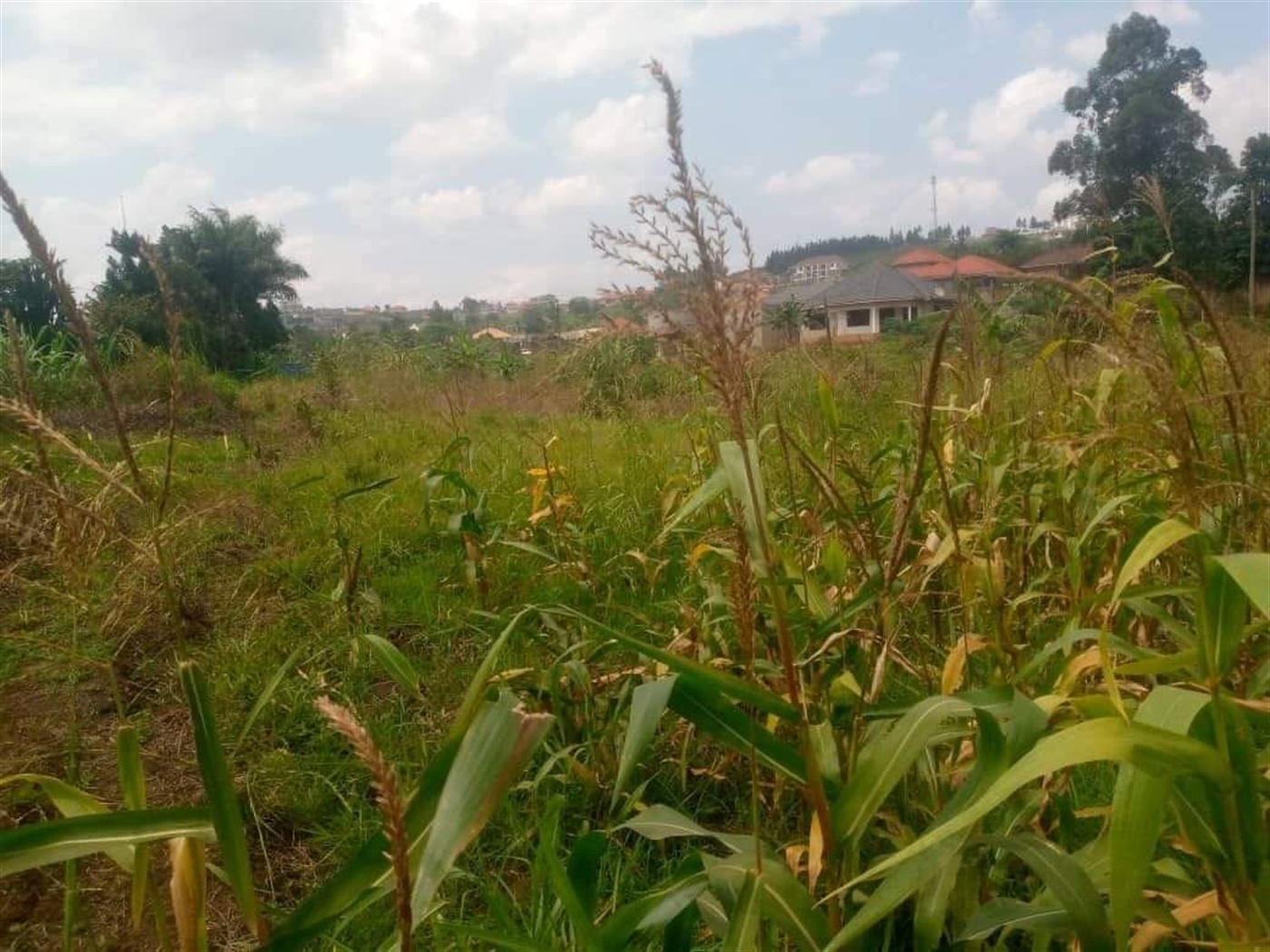 Multipurpose Land for sale in Nsansa Wakiso