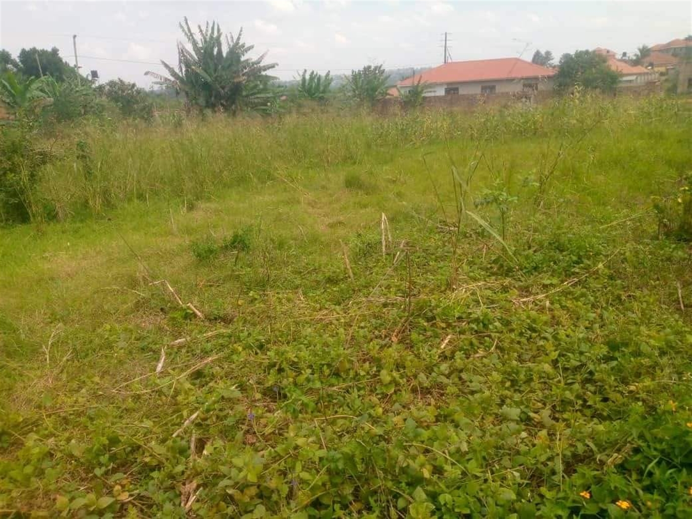 Multipurpose Land for sale in Nsansa Wakiso