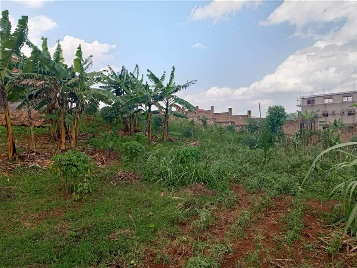 Bungalow for sale in Kikubampaga Wakiso