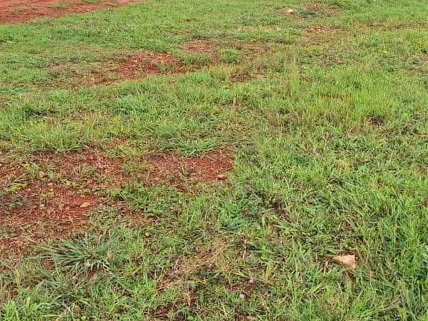 Residential Land for sale in Mulawa Wakiso